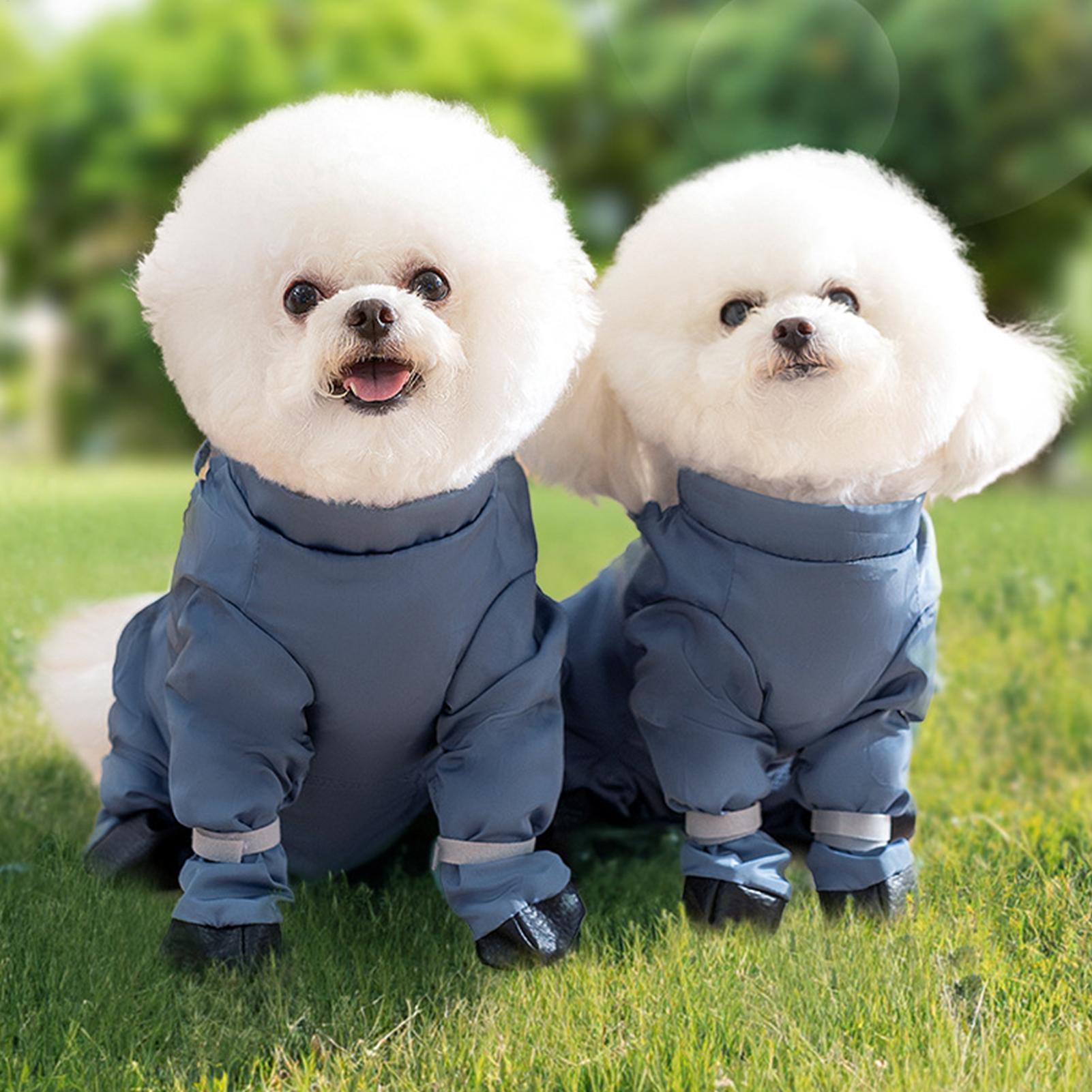 Waterproof Dog Boots With Susp - Women'S Shoes Hush Puppies 评论和价格