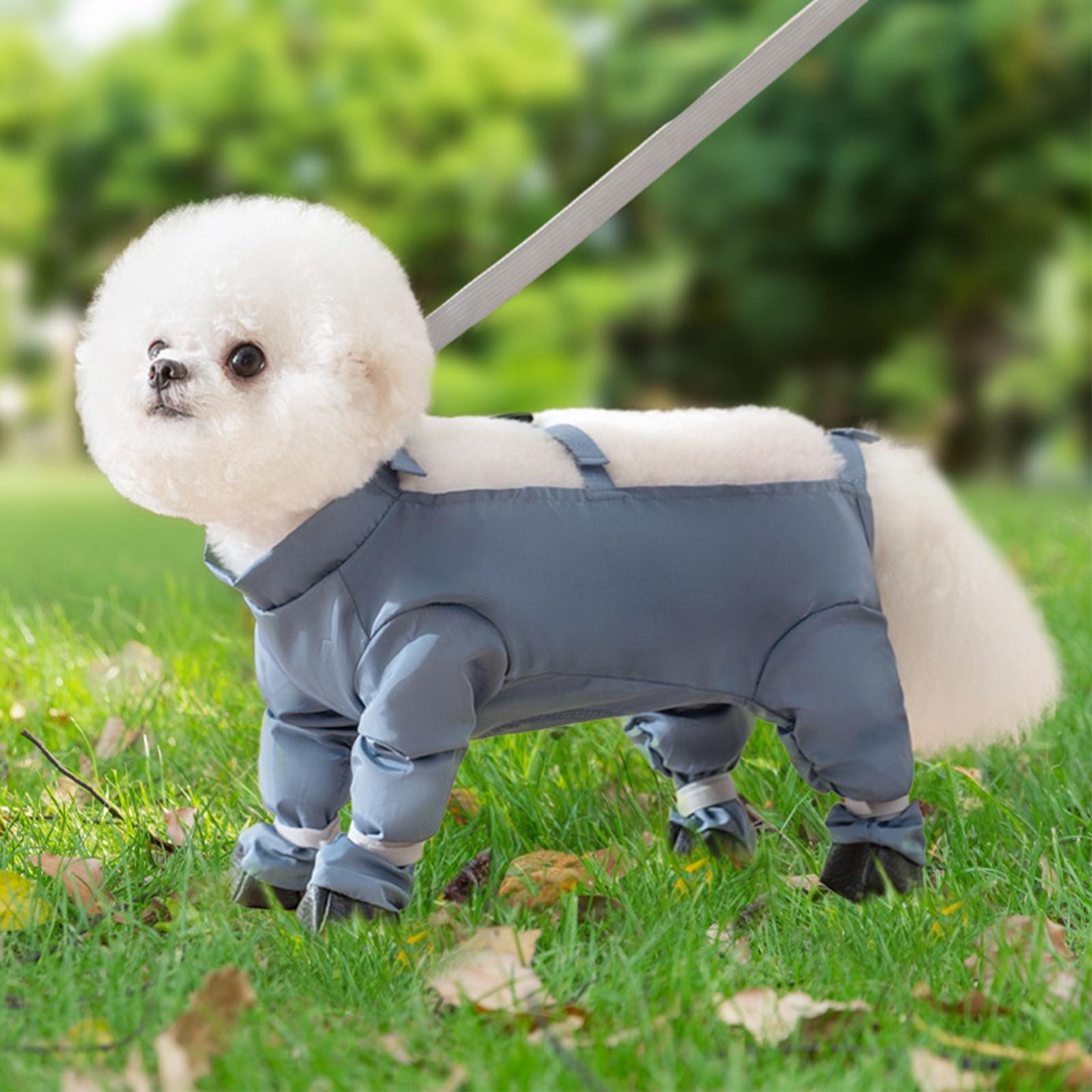 Waterproof Dog Boots With Susp - Women'S Shoes Hush Puppies 评论和价格